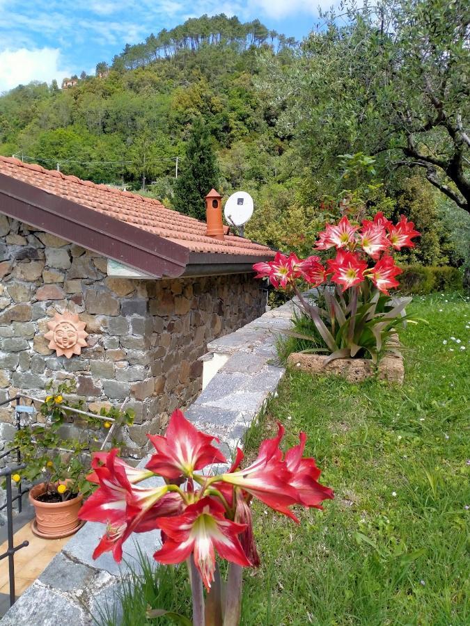 5 Terre - B&B La Giuditta - La Spezia Extérieur photo